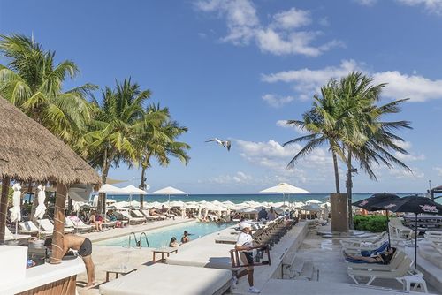 Cancun to Playa del Carmen — From $88